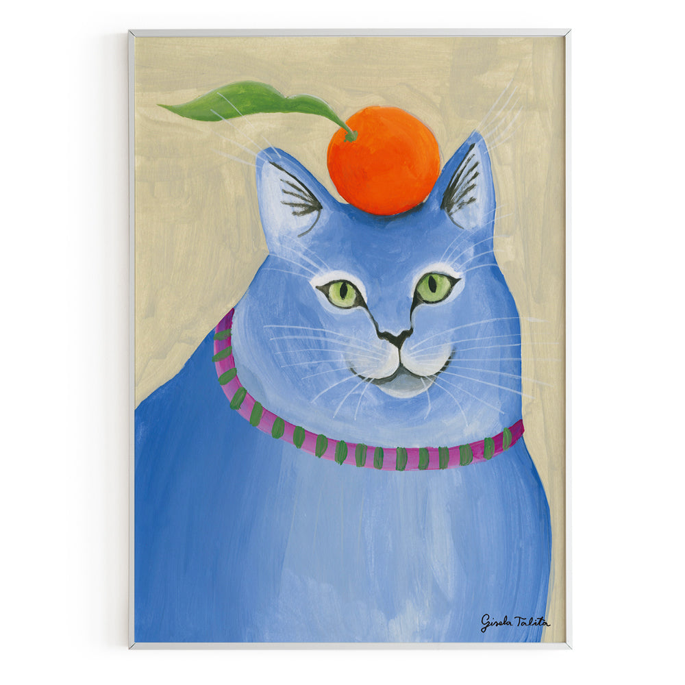 Gato azul con naranja